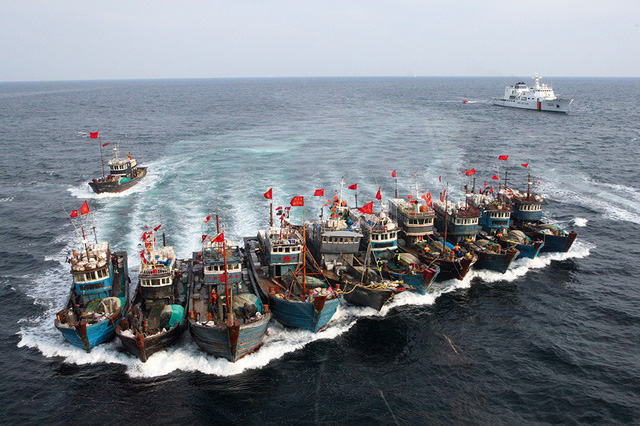 Nhật quyết liệt chống đánh bắt cá trái phép